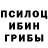 Псилоцибиновые грибы мухоморы Azamat Ernazarov