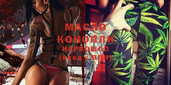 индика Каменногорск