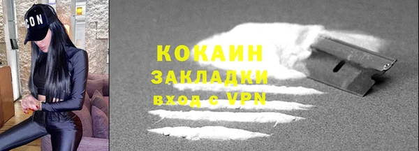 индика Каменногорск