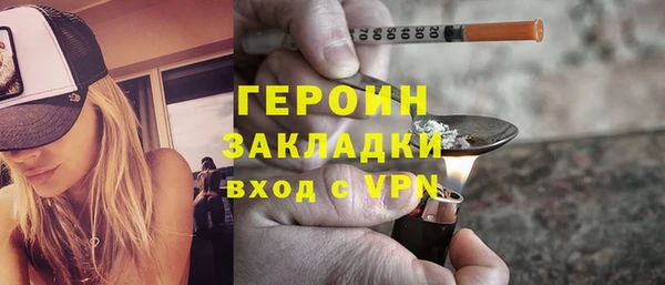 индика Каменногорск