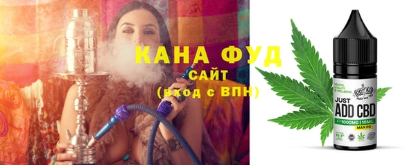 индика Каменногорск