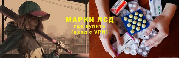 индика Каменногорск