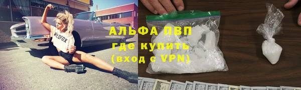 индика Каменногорск