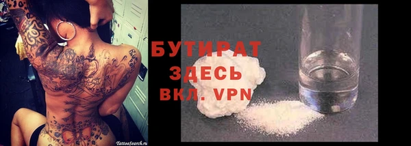 индика Каменногорск