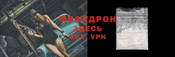 индика Каменногорск