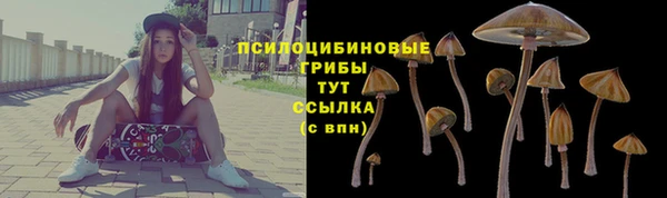 ALPHA PVP Инсар