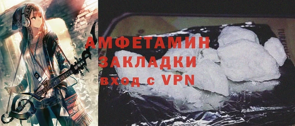 индика Каменногорск