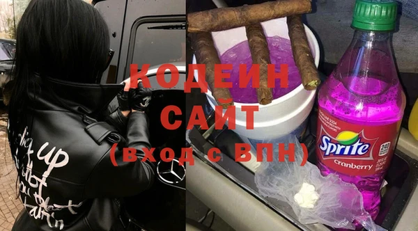 ГАЛЛЮЦИНОГЕННЫЕ ГРИБЫ Инта