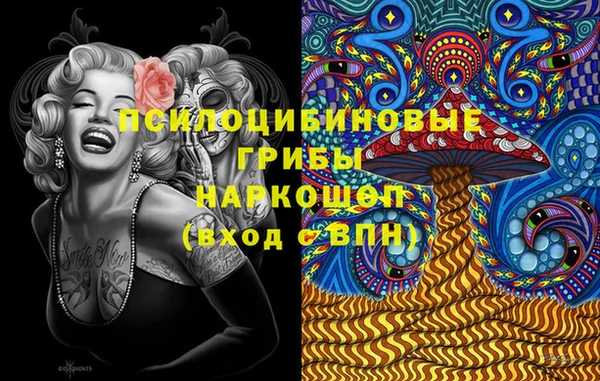 ALPHA PVP Инсар