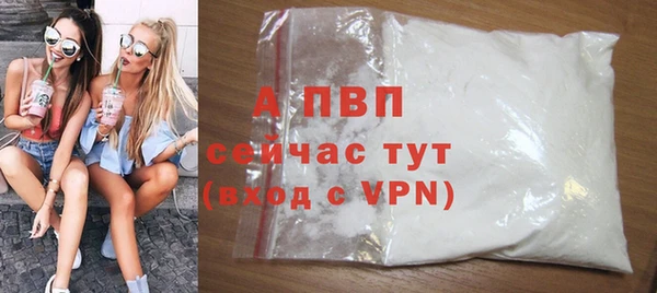 ГАЛЛЮЦИНОГЕННЫЕ ГРИБЫ Инта