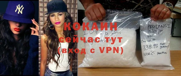 индика Каменногорск