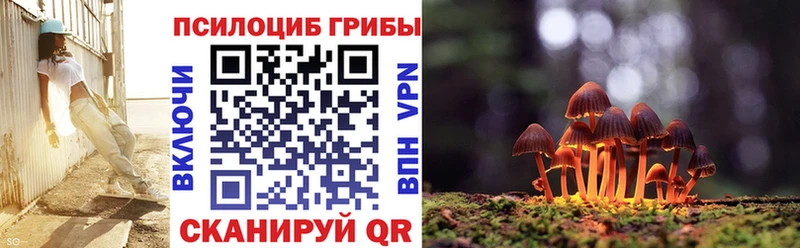 Купить закладки  Емва  Галлюциногенные грибы прущие грибы 