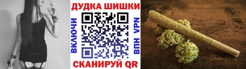 Купить закладки  Емва  Шишки марихуана сатива 